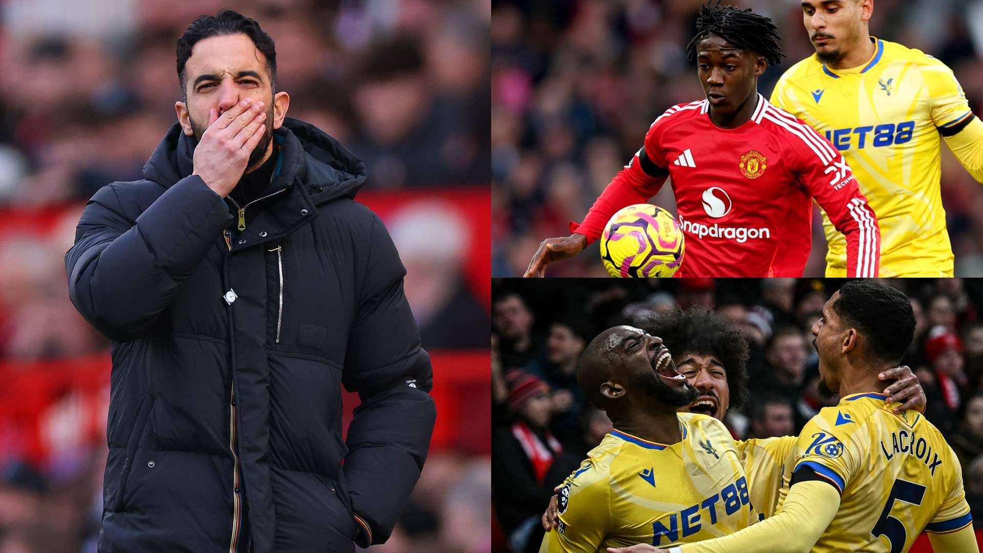 比利时球员 比利时球员